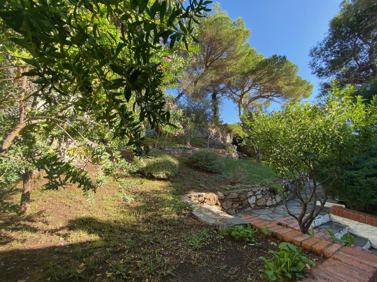 Appartamenti La Pineta Marina dʼMarina dʼAndora Exterior foto